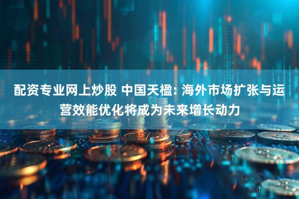 配资专业网上炒股 中国天楹: 海外市场扩张与运营效能优化将成为未来增长动力