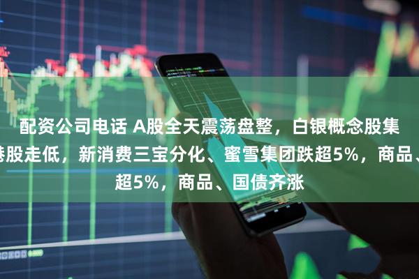 配资公司电话 A股全天震荡盘整，白银概念股集体走强，港股走低，新消费三宝分化、蜜雪集团跌超5%，商品、国债齐涨