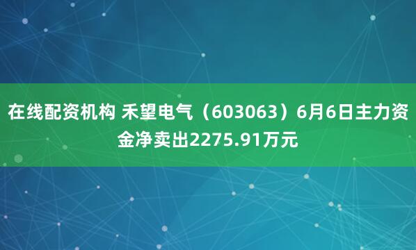 在线配资机构 禾望电气（603063）6月6日主力资金净卖出2275.91万元