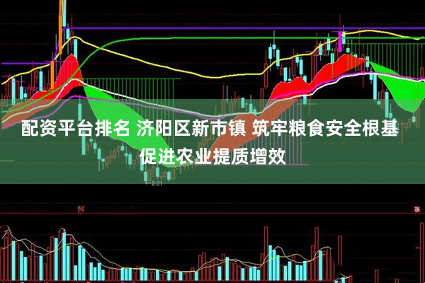 配资平台排名 济阳区新市镇 筑牢粮食安全根基 促进农业提质增效