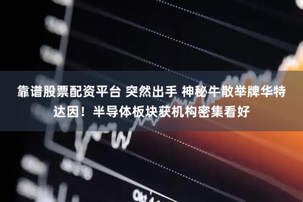 靠谱股票配资平台 突然出手 神秘牛散举牌华特达因！半导体板块获机构密集看好