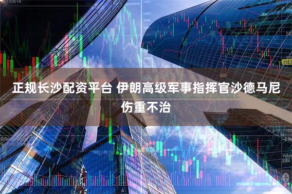 正规长沙配资平台 伊朗高级军事指挥官沙德马尼伤重不治